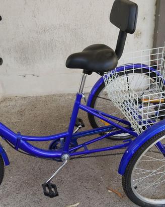 Bicicletta a tre ruote con cestino incorporato