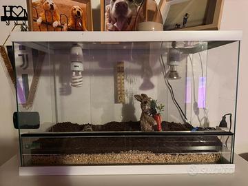 Terrario per tartarughe da terra