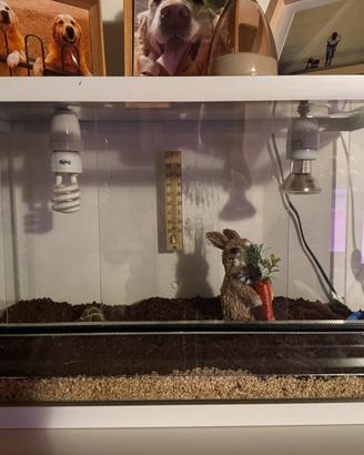 Terrario per tartarughe da terra