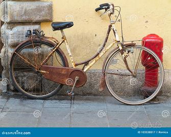 Bicicletta vintage del tutto funzionante.