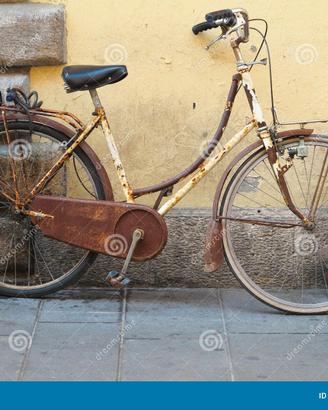 Bicicletta vintage del tutto funzionante.