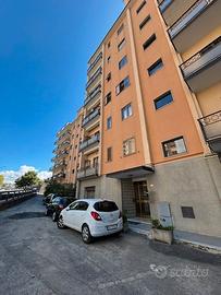 Catanzaro viale de filippis magazzino