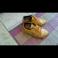 Scarpe saucony donna