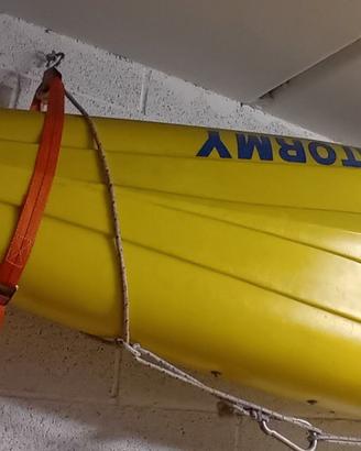 Kayak in resina