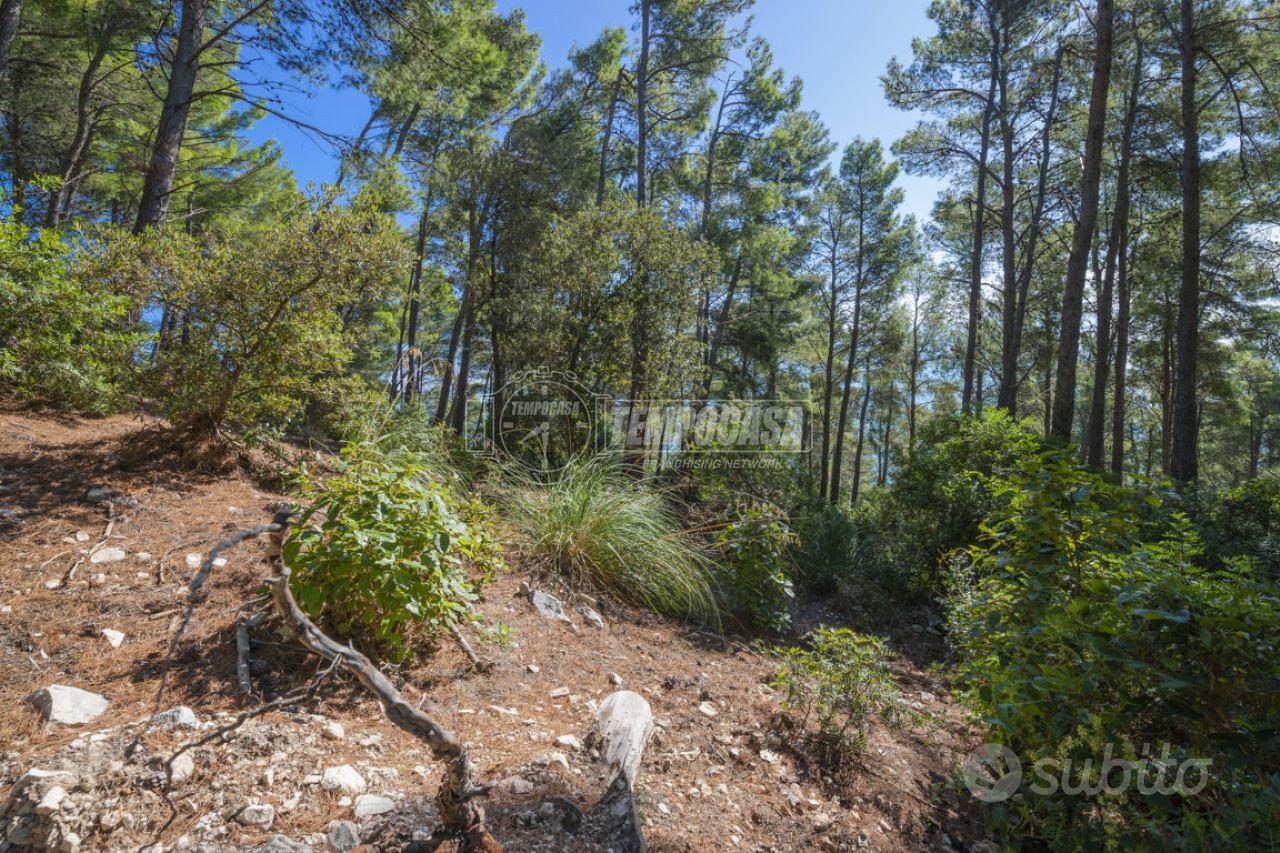 TERRENO BOSCHIVO CON VISTA MARE - Vista 4