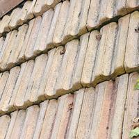 Coppi e tegole antiche