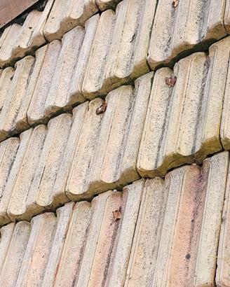 Coppi e tegole antiche