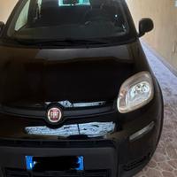 Fiat PANDA  2023
