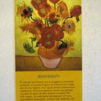 Guida VAN GOGH Museum di AMSTERDAM Originale