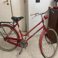 Bici da passeggio 26