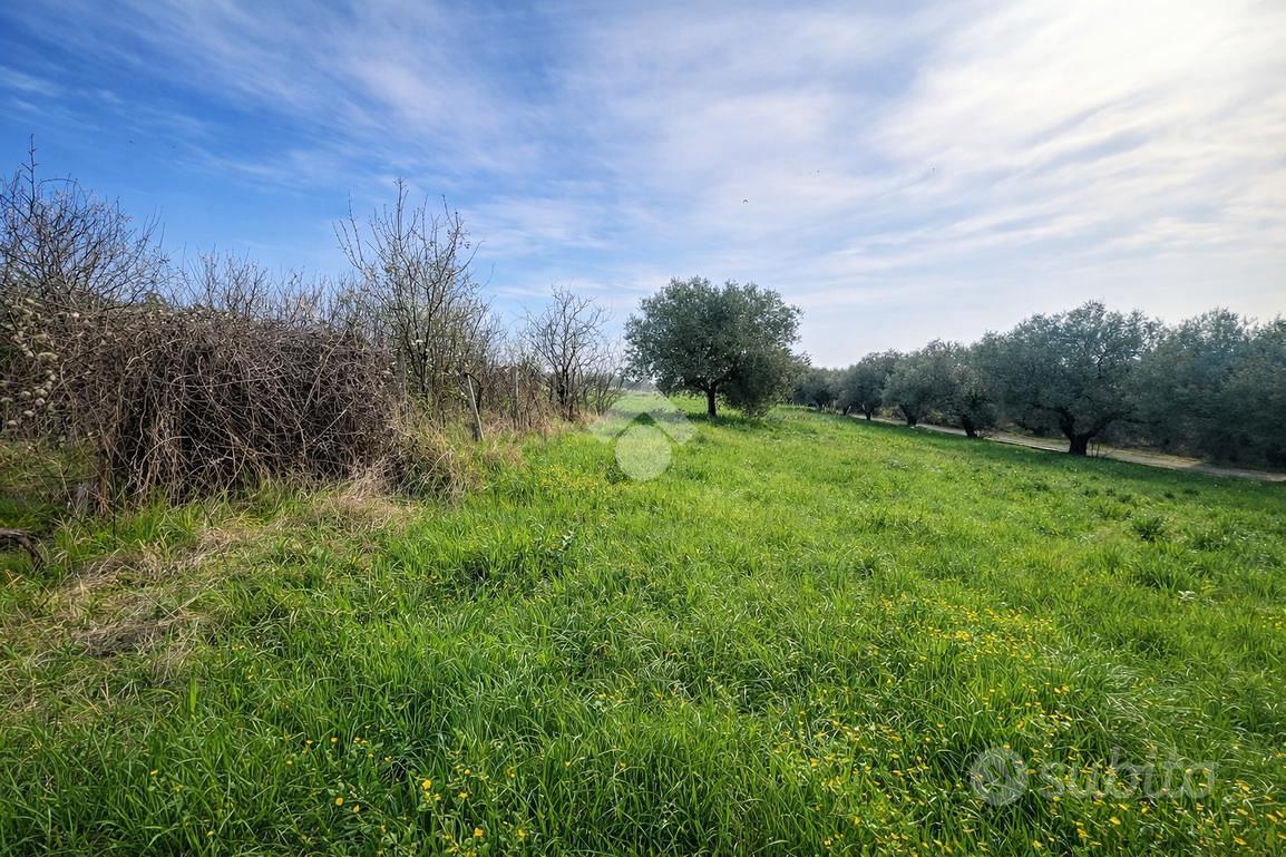 TERRENO A SILVI - Vista 3