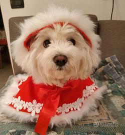 mantellina tg XL in panno rossa x cane NUOVA