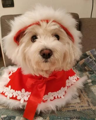 mantellina tg XL in panno rossa x cane NUOVA
