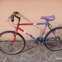 Bicicletta MTB cerchio 26