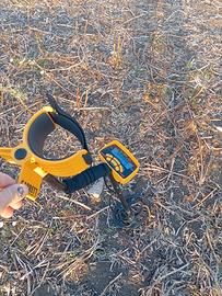 metal detector Garrett Ace 250