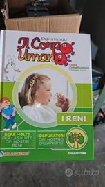 esplorando il corpo umano