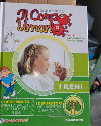 esplorando il corpo umano