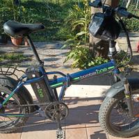 Bicicletta elettrica