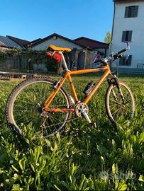 MTB 26 marca Specialized