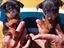 Immagine 4