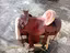 Immagine 6