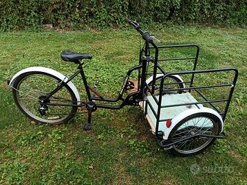 cargo bike  triciclo con cassone anteriore 