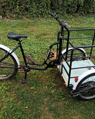 cargo bike  triciclo con cassone anteriore 