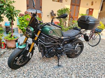 Benelli leoncino 800