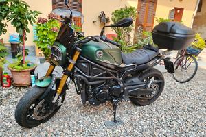 Benelli leoncino 800