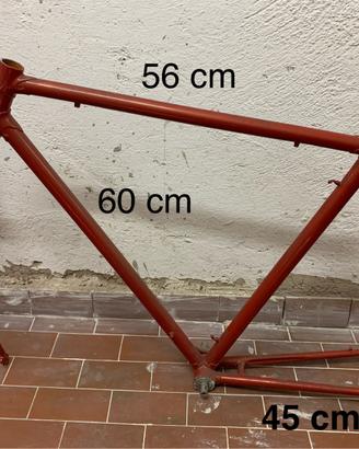 Telaio bici con forcella