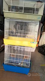 gabbie criceto e uccelli e trasportino gatto
