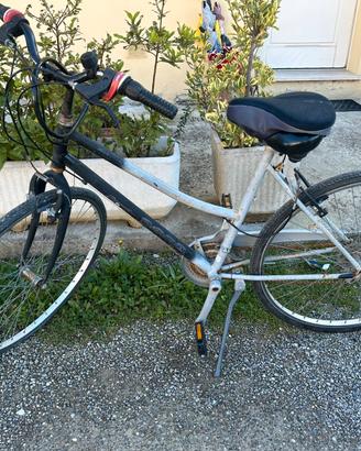 Bicicletta da Città Usata