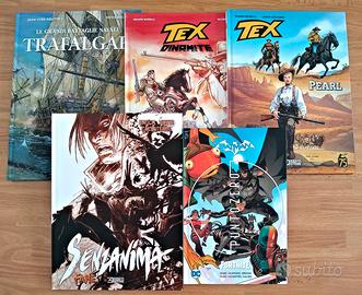 Lotto di 5 fumetti cartonati a colori.