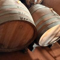 Botti in legno 750 lt