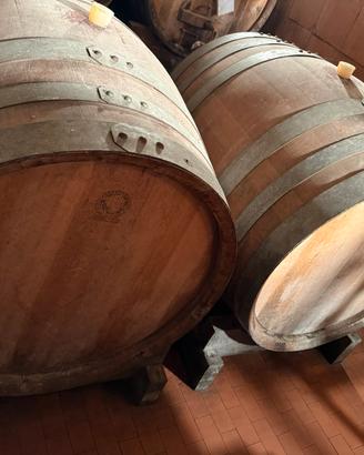 Botti in legno 750 lt