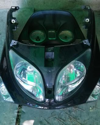 Carene T Max
