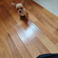 Chihuahua toy