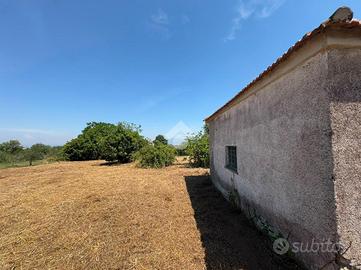 TER. AGRICOLO A MONTE COMPATRI