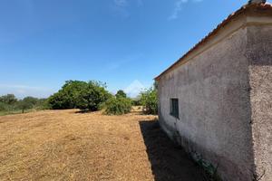 TER. AGRICOLO A MONTE COMPATRI
