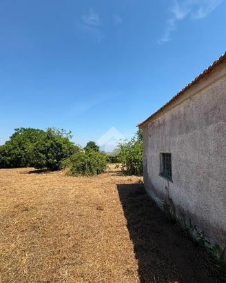 TER. AGRICOLO A MONTE COMPATRI