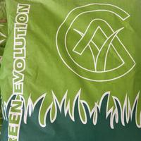 SEMENZA TAPPETO ERBOSO PRATO LOIETTO/POA P. 10KG