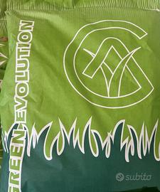 SEMENZA TAPPETO ERBOSO PRATO LOIETTO/POA P. 10KG