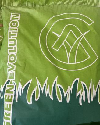 SEMENZA TAPPETO ERBOSO PRATO LOIETTO/POA P. 10KG