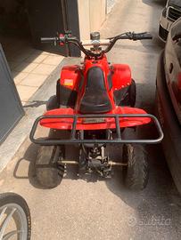 Ricambi Quad