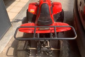Ricambi Quad