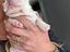 Immagine 1