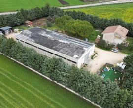 capannone-altamura-via-parisi