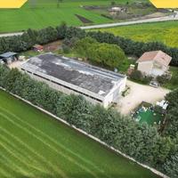 capannone-altamura-via-parisi