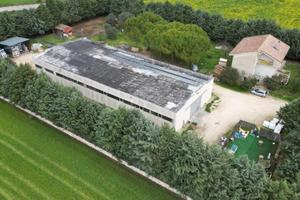 capannone-altamura-via-parisi