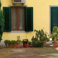 piante grasse vasi grandi e piu piccoli 